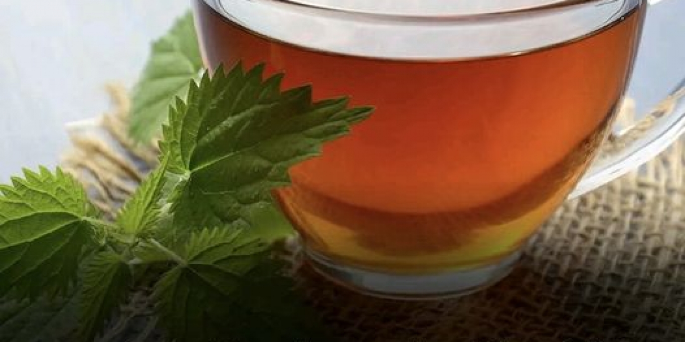 Nepal's Tea Triumph: World's Best Tea Crowned at World Tea Expo 2024