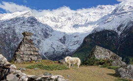 A Complete Guide to Manaslu Tsum Valley Trekking